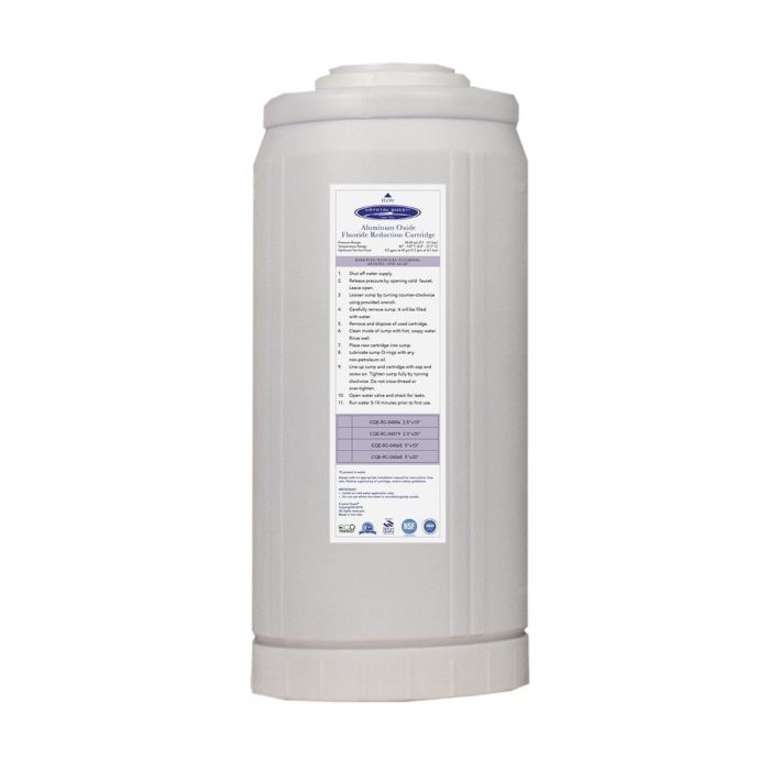4-5/8" x 9-3/4" Fluoride Filter Cartridge main product photo